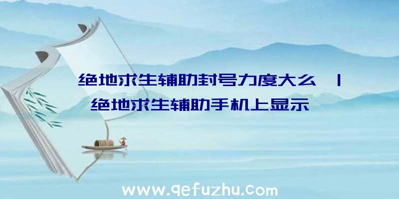 「绝地求生辅助封号力度大么」|绝地求生辅助手机上显示